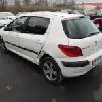 Cric 307