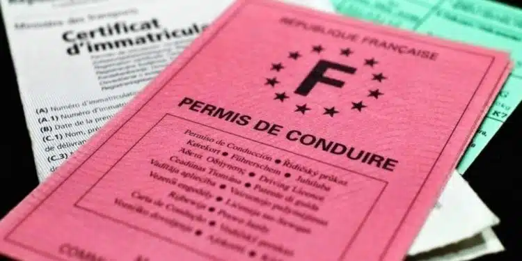 permis de conduire